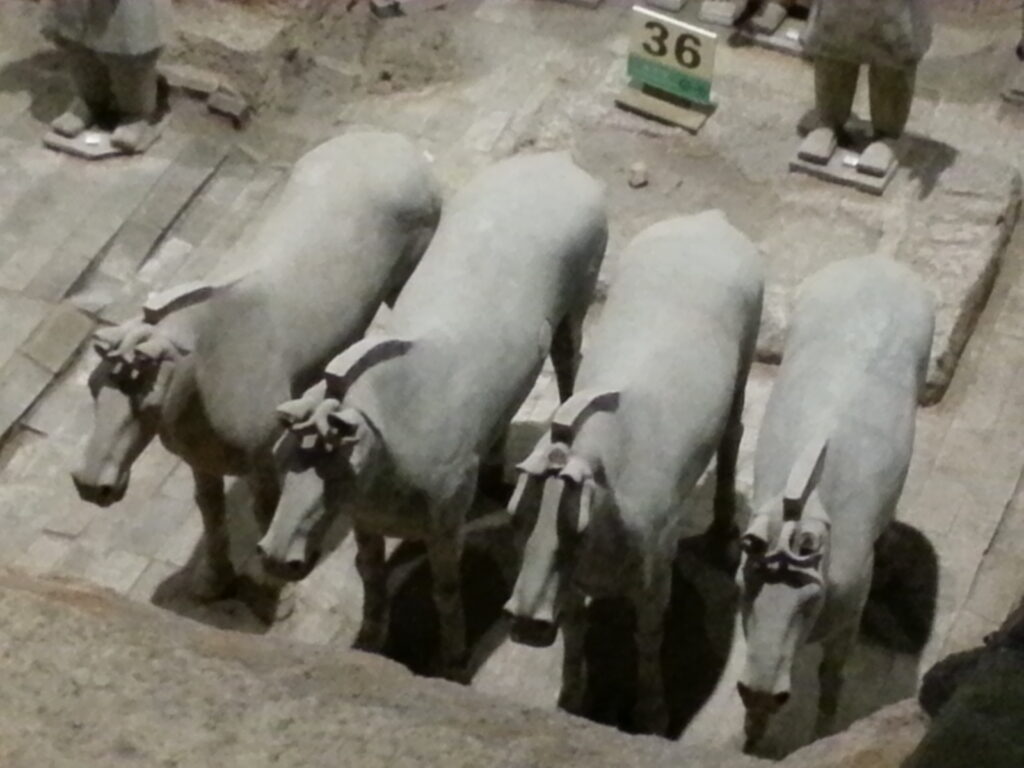 Terracotta horses in a covered museum pit