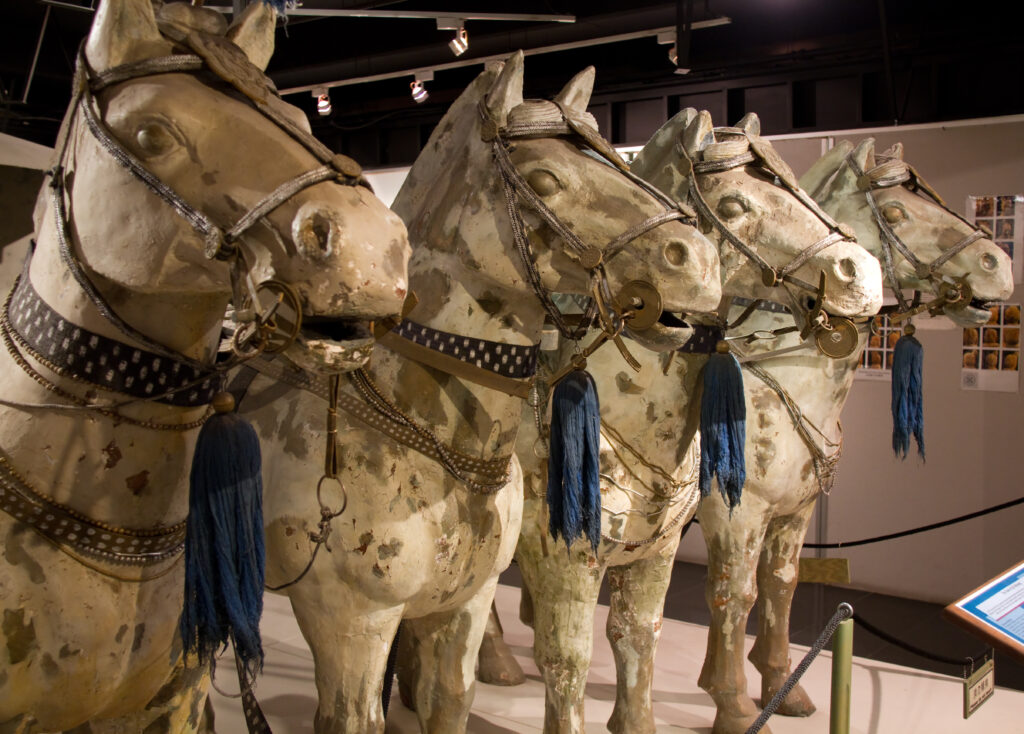 Group of Qin terracotta horses with harness details