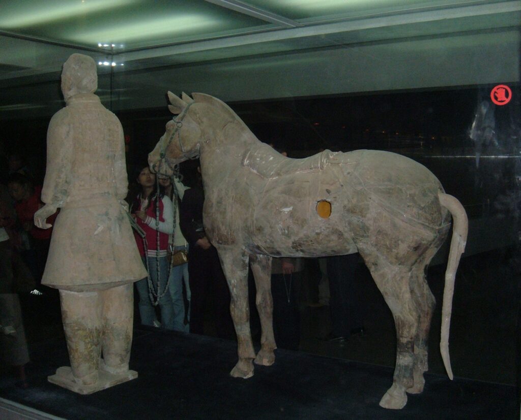 Side view of a terracotta horse beside a warrior